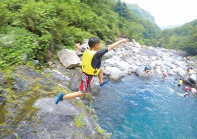 森の探検隊サマーキャンプ　ボランティアスタッフ募集