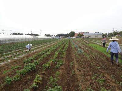 8月8日(土)日帰り農園ボランティア募集！