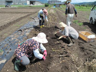 ７月４日(土)の日帰り農園ボランティア募集！