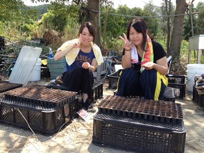 食糧自給率ＵＰの為の、援農ボランティアと若手農業者との交流！！