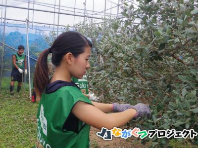 【Gakuvo】福島県いわき市ボランティア6/16～6/18　参加者募集！