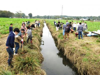 【楽しい夕食付き！】6/14（土）埼玉県鶴ヶ島市で環境ボランティアして...
