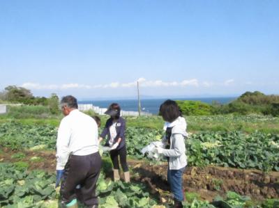 7月2日(土)日帰り援農ボランティア募集！