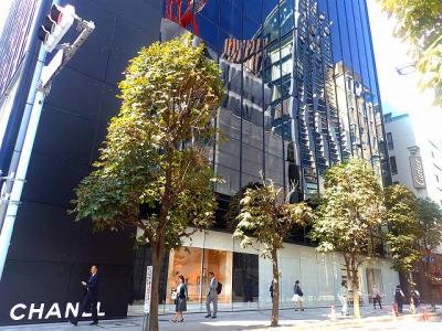 NPO法人森の学校★銀座の街路樹でしおりづくり★ワークショップ　ボランテ...
