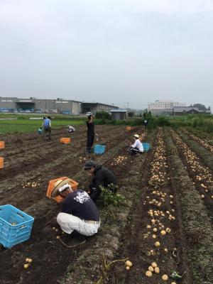 ７月１６日(土)日帰り農園ボランティア募集！