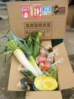 復興支援として「生産者の顔の見える」直売所を創りたい！