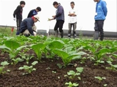 12月5日(土)日帰り援農ボランティア募集！
