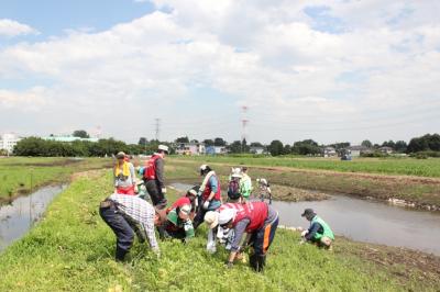 【親子で参加！】3/15(日） 埼玉県鶴ヶ島市で植樹ボランティアをやって...