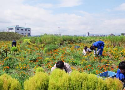 「花を咲かせよう！プロジェクト」活動メンバー募集！！