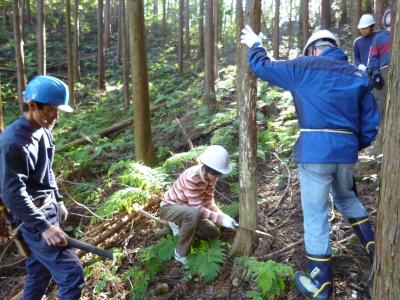 11/4(土)　埼玉・飯能　ノコギリで 木を伐る！間伐体験イベント