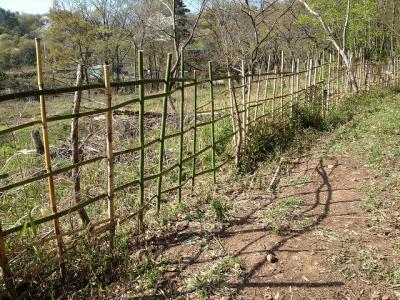 竹の柵つくり！　移住希望先全国一の山梨県北杜市で