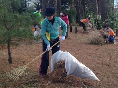【週末３時間】環境保全ボランティアをはじめてみませんか？【2月はNEW...