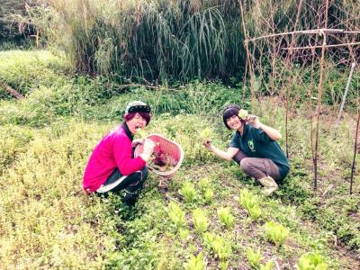 【春休み】自然農法を学び台湾観光もできるツアー！　村おこしボランテ...
