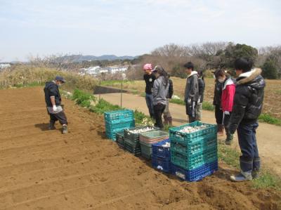 4月29日(土)日帰り援農ボランティア募集！