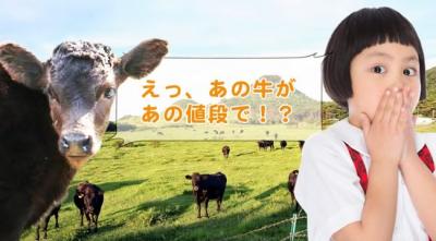 前代未聞！？　離島で高級和牛を育てるボランティア旅行をゴールデンウ...