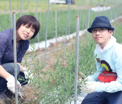 福島県昭和村の恵みをPR！「かすみ草」農家のお手伝い体験ツアー
