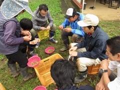 12月26日(土)日帰り援農ボランティア募集！