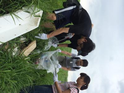 大和川プロジェクト