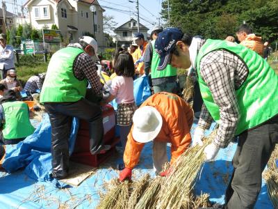 【週末3時間】環境保全ボランティアに参加してみませんか？in 東京＆神...