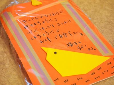 春のおたより・プチプレゼント大募集のお知らせ♪