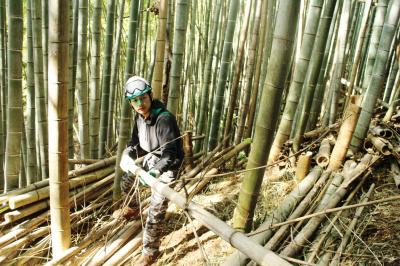 竹林整備ボランティア