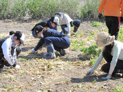 ５月２１日(土)日帰り農園ボランティア募集！