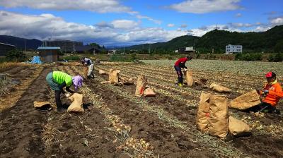 ７月４日(土)の日帰り農園ボランティア募集！