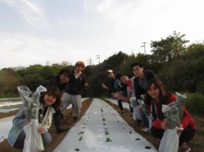 5月14日(土)日帰り援農ボランティア募集！