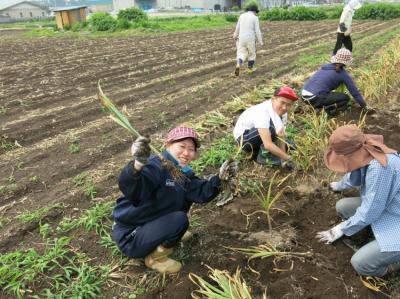 ８月１６日(土)日帰り農園ボランティア募集！