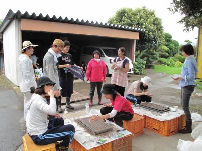 ８月１日(土)の日帰り農園ボランティア募集！