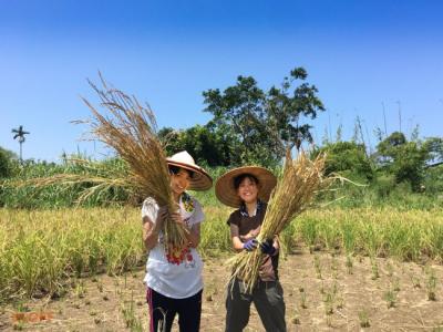 【夏休み】日本語OKの台湾で自然農法を学ぼう【村おこしボランティア台...