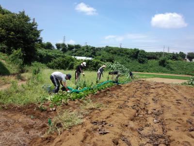 9月30日(土)日帰り援農ボランティア募集！