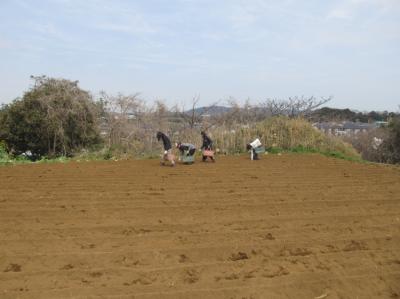 5月6日(土)日帰り援農ボランティア募集！