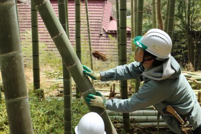 《栃木》美しい自然を守る！竹林整備