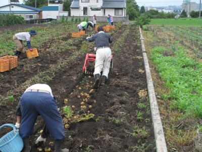 ７月１８日(土)の日帰り農園ボランティア募集！