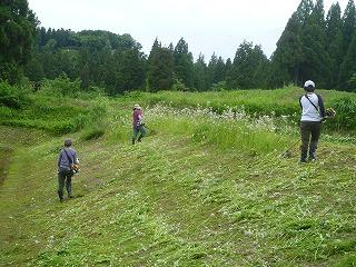 棚田の草刈り隊