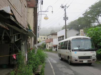 7月29日(金)深夜～31(日)　ボラバス「南相馬号」新宿駅発着・南浦和発