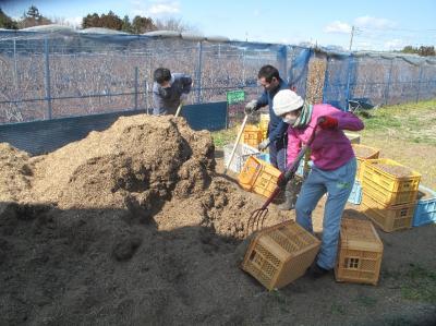 ２０１９年４月２０日(土)日帰り農園ボランティア募集