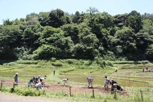 親子で谷戸の農作業体験★緑のボランティア入門★