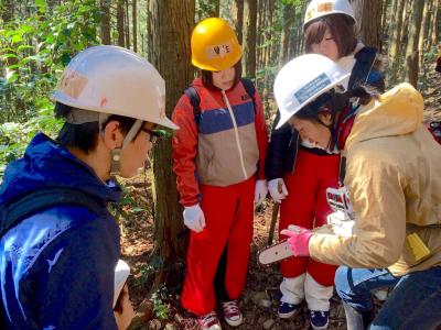 21世紀は女子だって林業する時代！　地方と森を救う「自伐型林業」を5万...