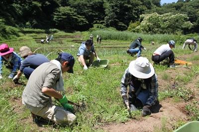 週末3時間の緑のボランティア★おひとりでもご家族でも★