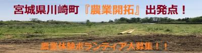 宮城県川崎町地域活性化農業開拓「ボランティア」募集！！