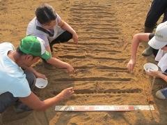 9月19日(土)日帰り援農ボランティア募集！