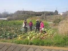 4月15日(土)日帰り援農ボランティア募集！