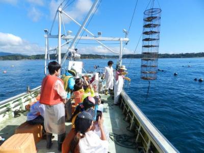 11月21日(金・深夜)発～24日　ボランティアバス南三陸号・関東発／関西発