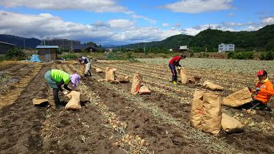６月２０日(土)の日帰り農園ボランティア募集！