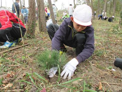 植林ボランティア