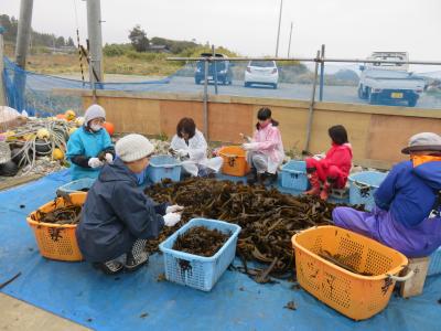 4月21日(金)深夜～23(日)　ボラバス「南三陸号」新宿駅発着・南浦和発