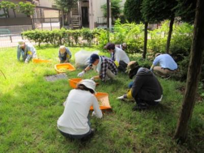 【週末３時間のみ】7/12（土）東京都杉並区で環境保全のボランティアを...