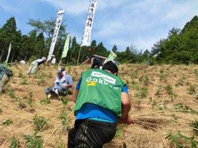 被災地支援大学生ボランティア募集